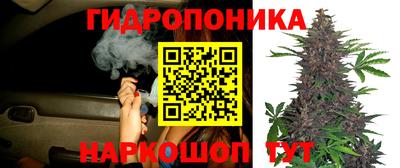 apvp Шебекино