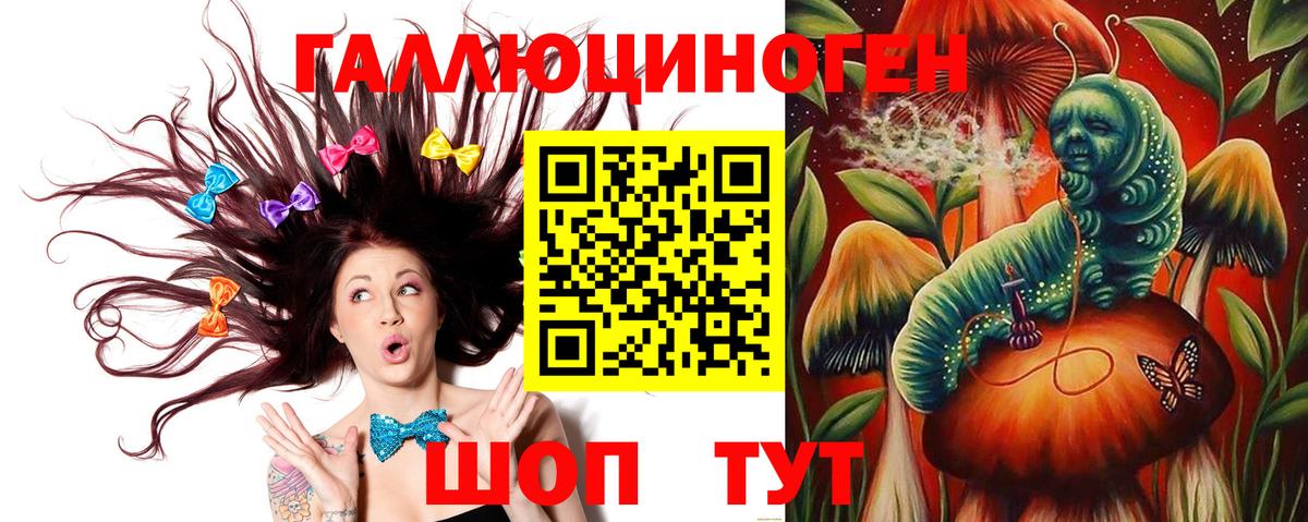 Жуковский  Галлюциногенные грибы мухоморы  Вход с VPN 