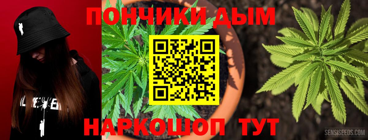 Шишки марихуана план Жуковский